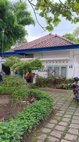 Dijual Rumah Hitung Tanah di Nol Jalan MT Haryono Malang