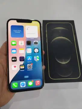 iPhone 12 pro max 128gb gold fulset inter