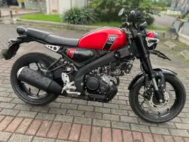 Yamaha XSR(2024)