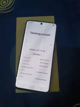 Samsung S21 fe ram 8/256 hp dus