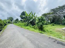 Tanah strategis pantai siyut, Tulikup Gianyar