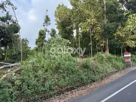 DIJUAL TANAH MURAH 4 ARE DI LOVINA