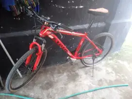 Merek Exotic ukuran 26