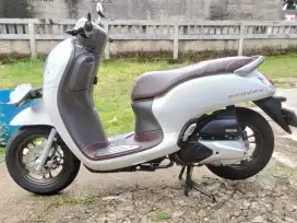 Honda Scoopy Prestige Tahun 2024