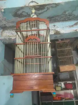 Kandang burcil cantik full fiber di BSD