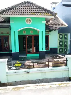DISEWAKAN RUMAH ASRI DILINGKUNGAN YANG NYAMAN