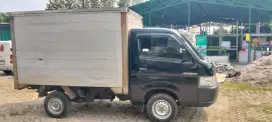 Suzuki box 2019