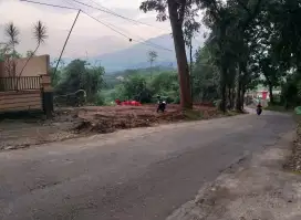 Tanah strategis cocok untuk investasi di semarang