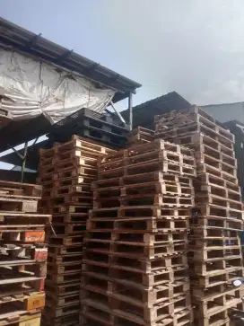 Jual palet kayu