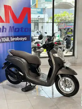 Honda Scoopy Stylish Thun 2019