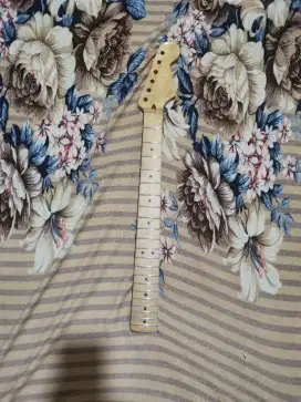 Neck Strato Start Caster Model