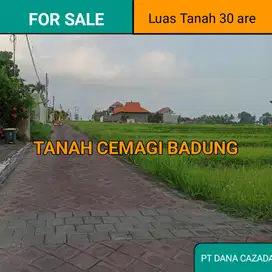 TNAH PREMIUM CEMAGU BADUNH 30 ARE