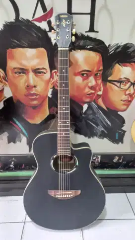gitar apx tanbes aktif