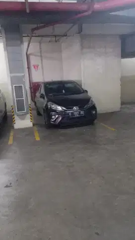 Sirion pribadi mulus