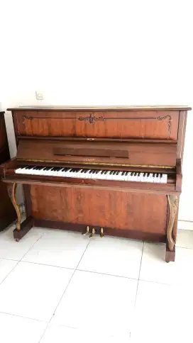 Piano Akustik Royale Korea