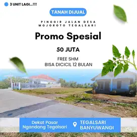 Jual Tanah Pinggir Jalan Banyuwangi Tegalsari