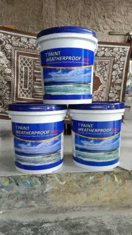 Cat tembok merk T paint