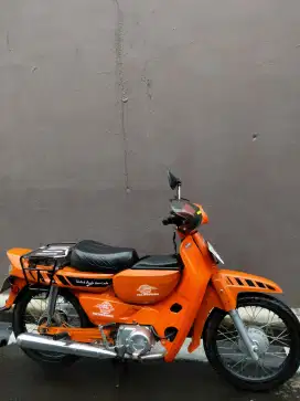astrea warna oren
