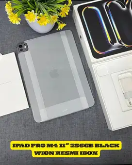 Ipad pro m4 11” 256gb black wion iBox