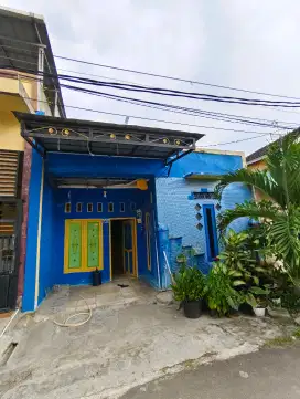 DIJUAL BUTUH DAN MURAH