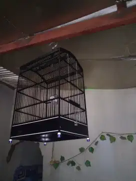 Sangkar Burung Kotak