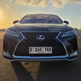 Lexus Rx300 Luxury 2019 ( Rx 300 )