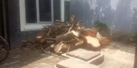 menerima kayu bakar