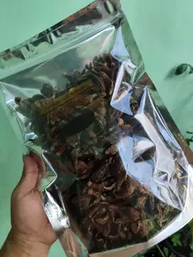 Teripang Laut Camilan Khas Madura Indonesia Kaya Manfaat Snacks Viral