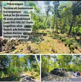 Kebun durian jumantono