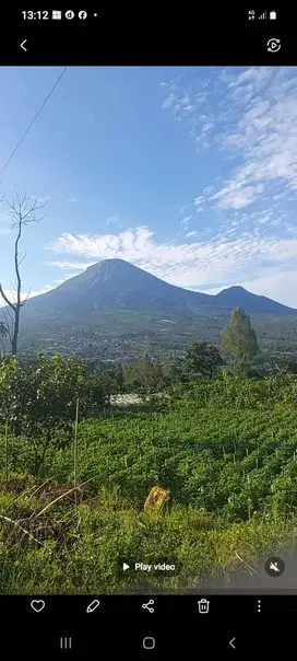 TANAH STRATEGIS KEJAJAR (DIENG) DEKAT TELAGA MENJER KREO,