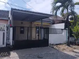 Disewakan Rumah 1 Lantai ukuran 6×15