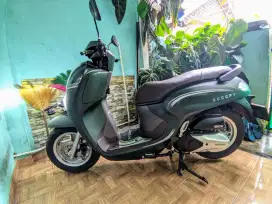 Scoopy hijau doff
