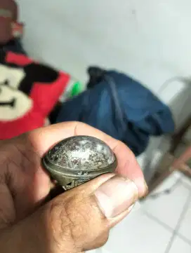Pirus Lapis Perak