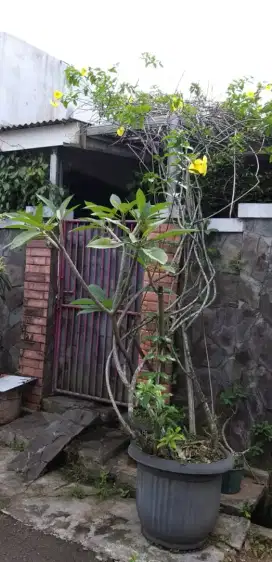 Jula rumah dan furniture