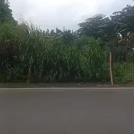 Di sewakan tanah di Jagakarsa Jakarta Selatan