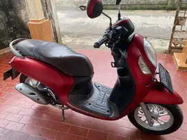 Scoopy Stylish 2022