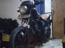 Tiger Revo 2008