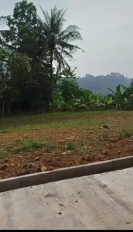 Jual tanah nuansa alam agroeduwisata