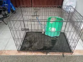 Kandang kucing kesayangan
