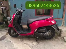 Scoopy 2022 komplit