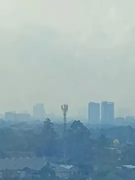 Mencari Lowongan Pekerjaan