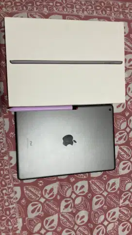 Ipad Gen 8 32GB