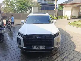 Hyundai palisade 2024