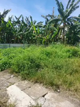 Tanah kavling tengah pemukiman
