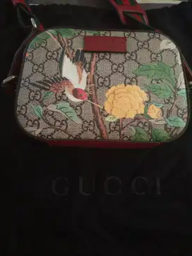 Gucci bag authentic