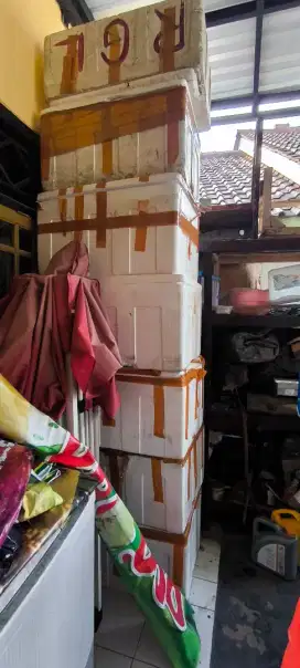 tripung ikan ukuran jumbo