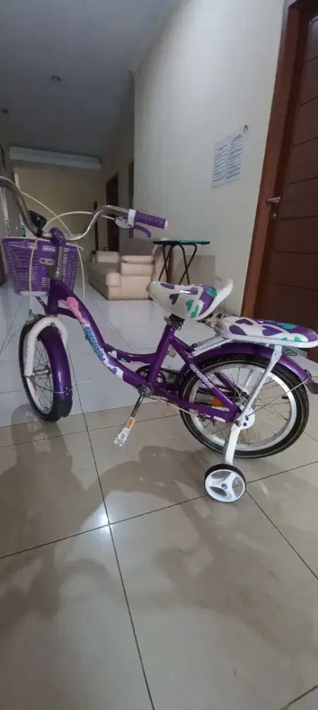 Sepeda anak-anak