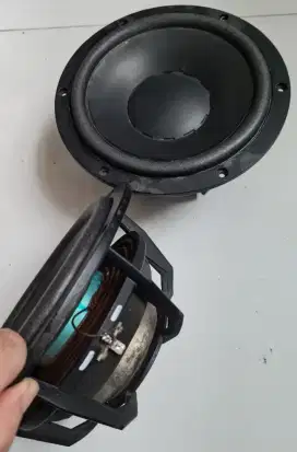 Dynaudio woofer 8inch