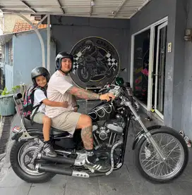 Harley davidson sportster 48 1200 custom chopper bobber