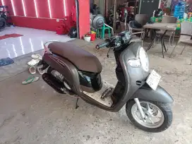 Honda scoopy 2019